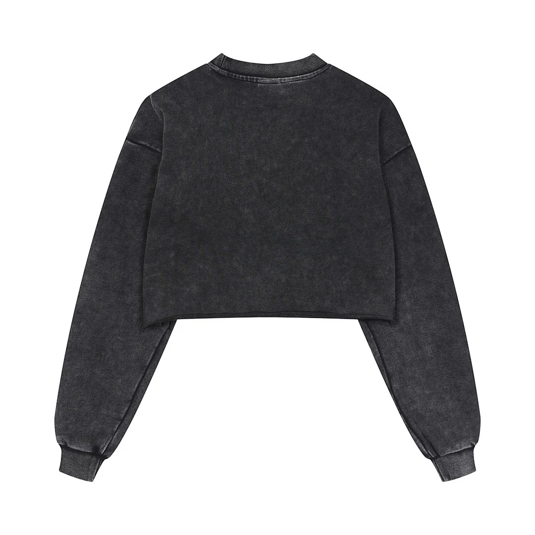Distressed cropped sweatshirt · MT-204 · Snow black / distressed · Back · Base garment photograph