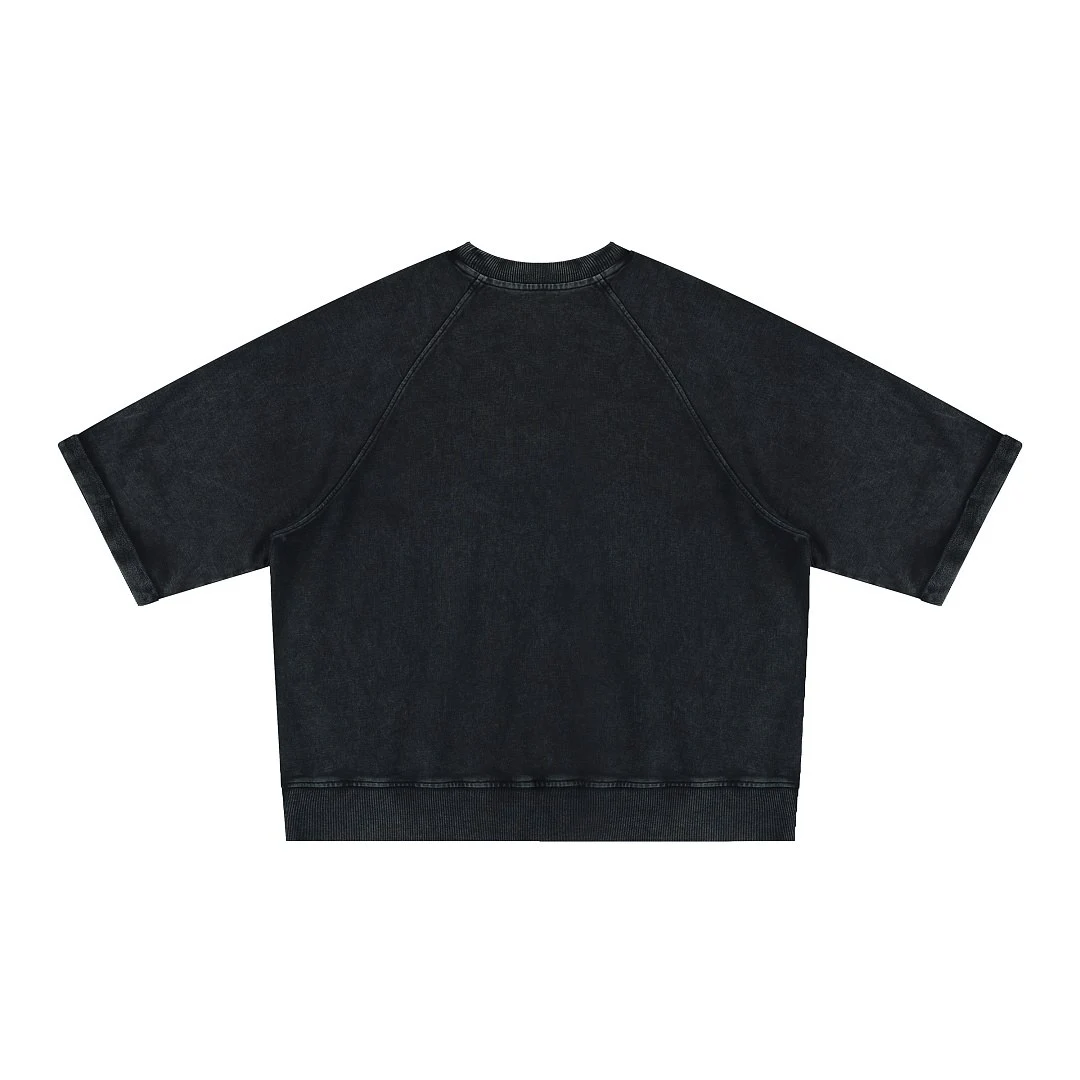 Washed cropped raglan tee · MT-2631 · Black · Front · Base garment photograph