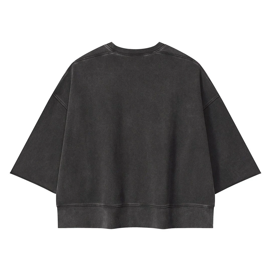 Washed panelled cropped tee · WYYL-07 · Black · Back · Base garment photograph