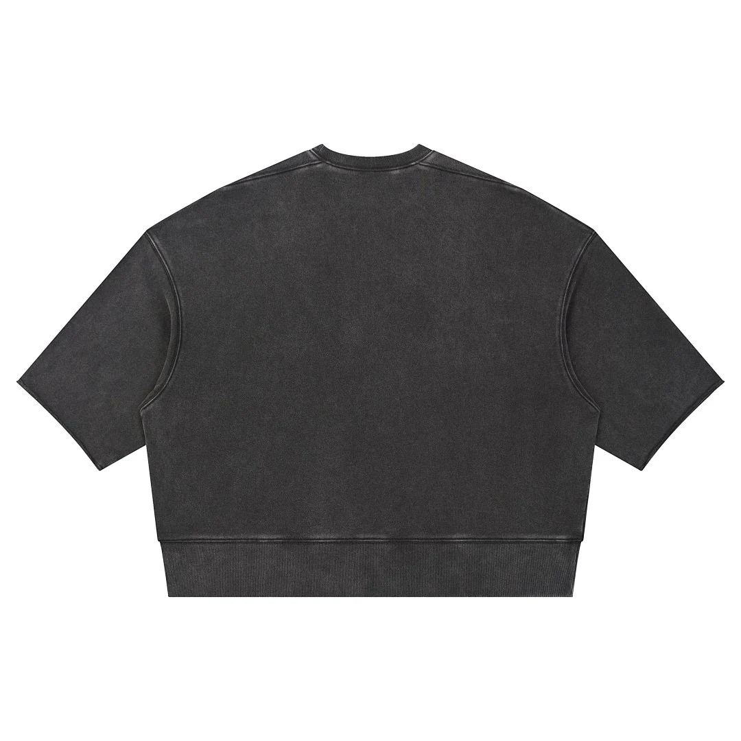 Washed panelled cropped tee · WYYL-07 · Black · Base garment photograph