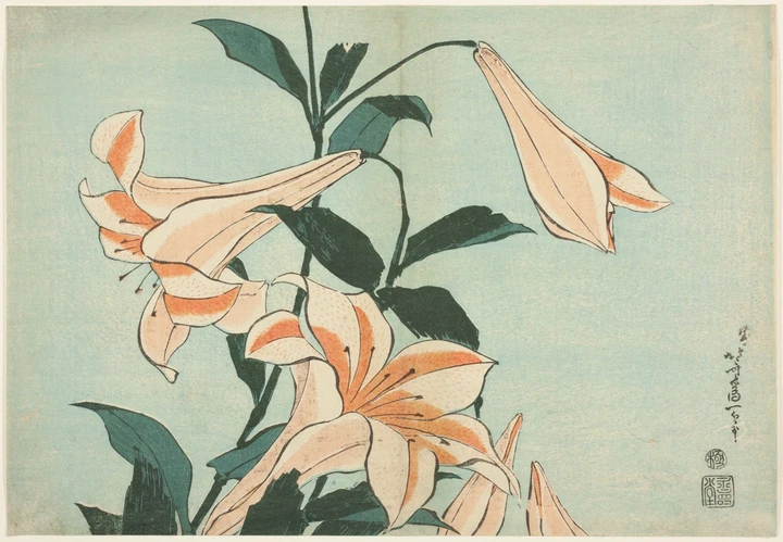 Flowers / 01