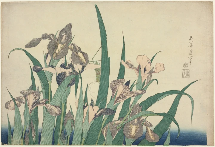 Flowers / 02