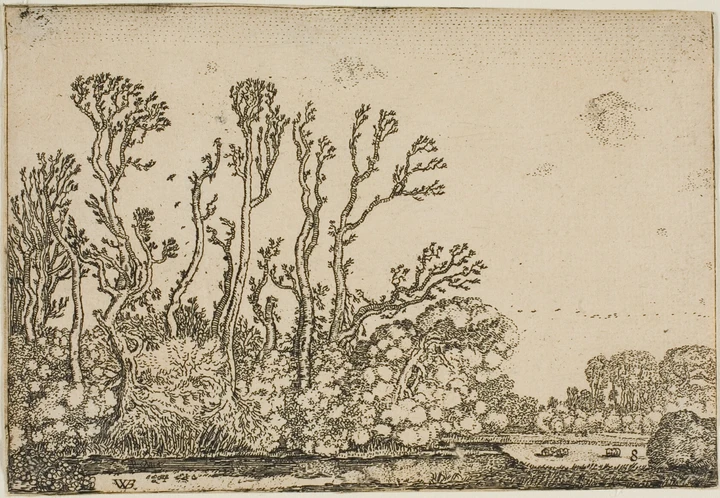 Landscape / 12