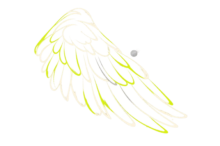 Single Motion