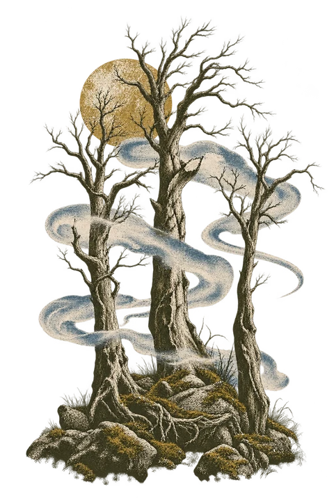 Forest Echo